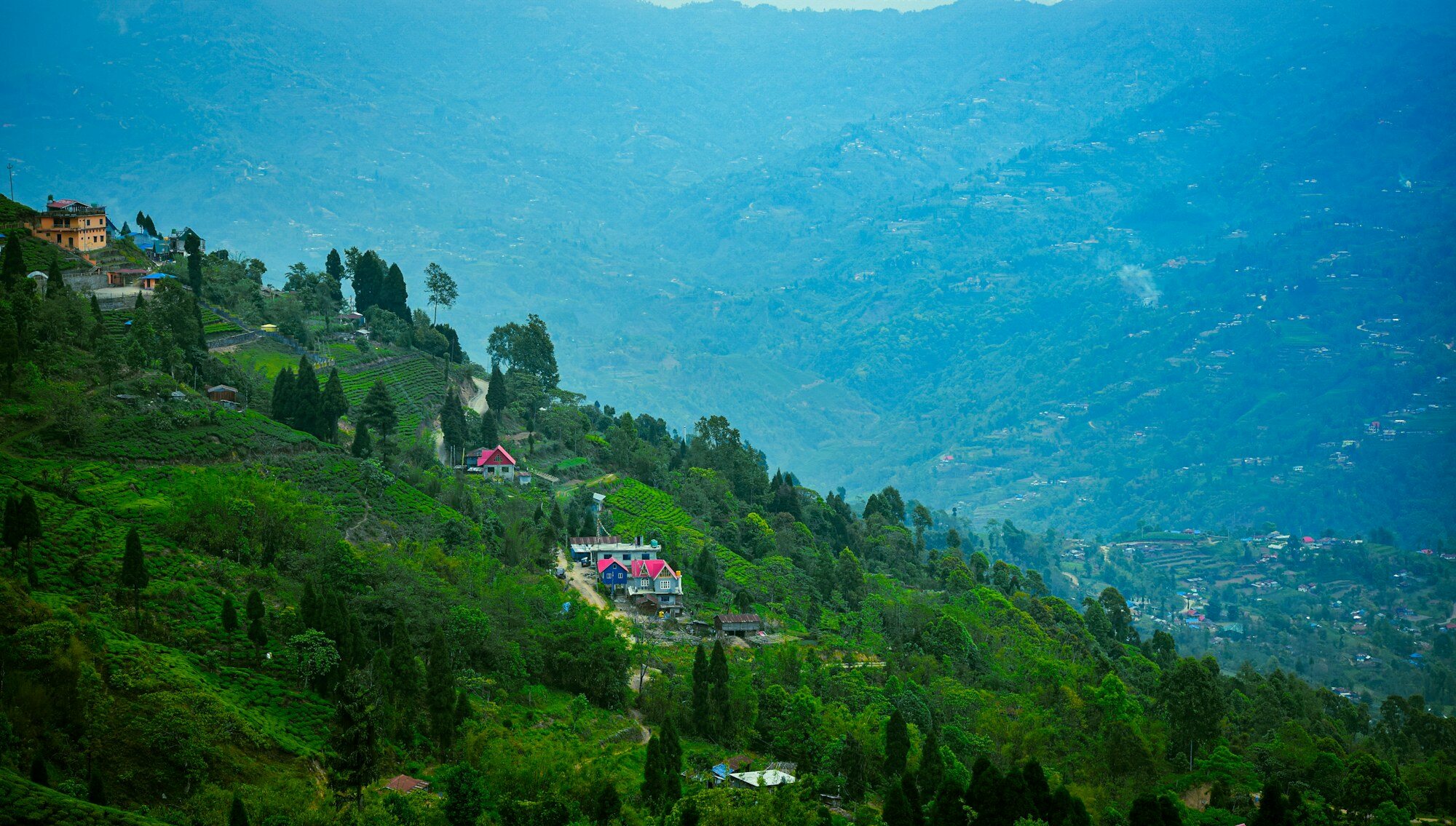 Green hillside hospitality landscape in Kanyam, Nepal